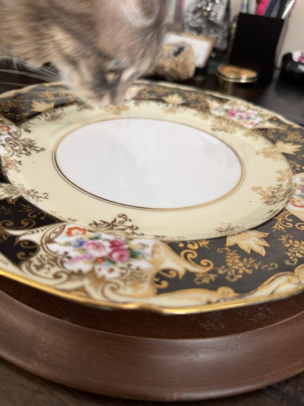 A cat sniffs an ornate, empty plate decorated with gold, black, and floral patterns. The plate rests on a dark wooden surface, with blurred objects including pens and decor in the background. The cat’s face is partially visible at the top.
