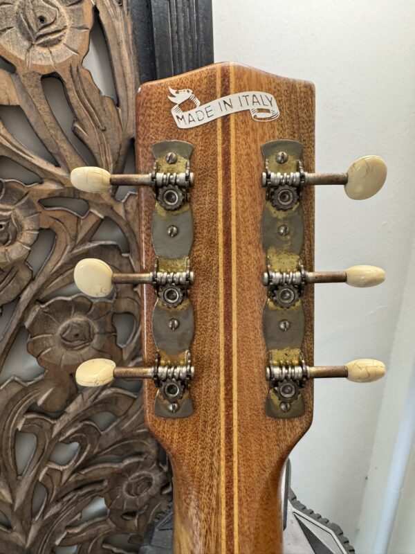 Close-up of a Silvertone 1960's 699 Guitar headstock featuring six vintage tuning pegs with cream-colored knobs and a 