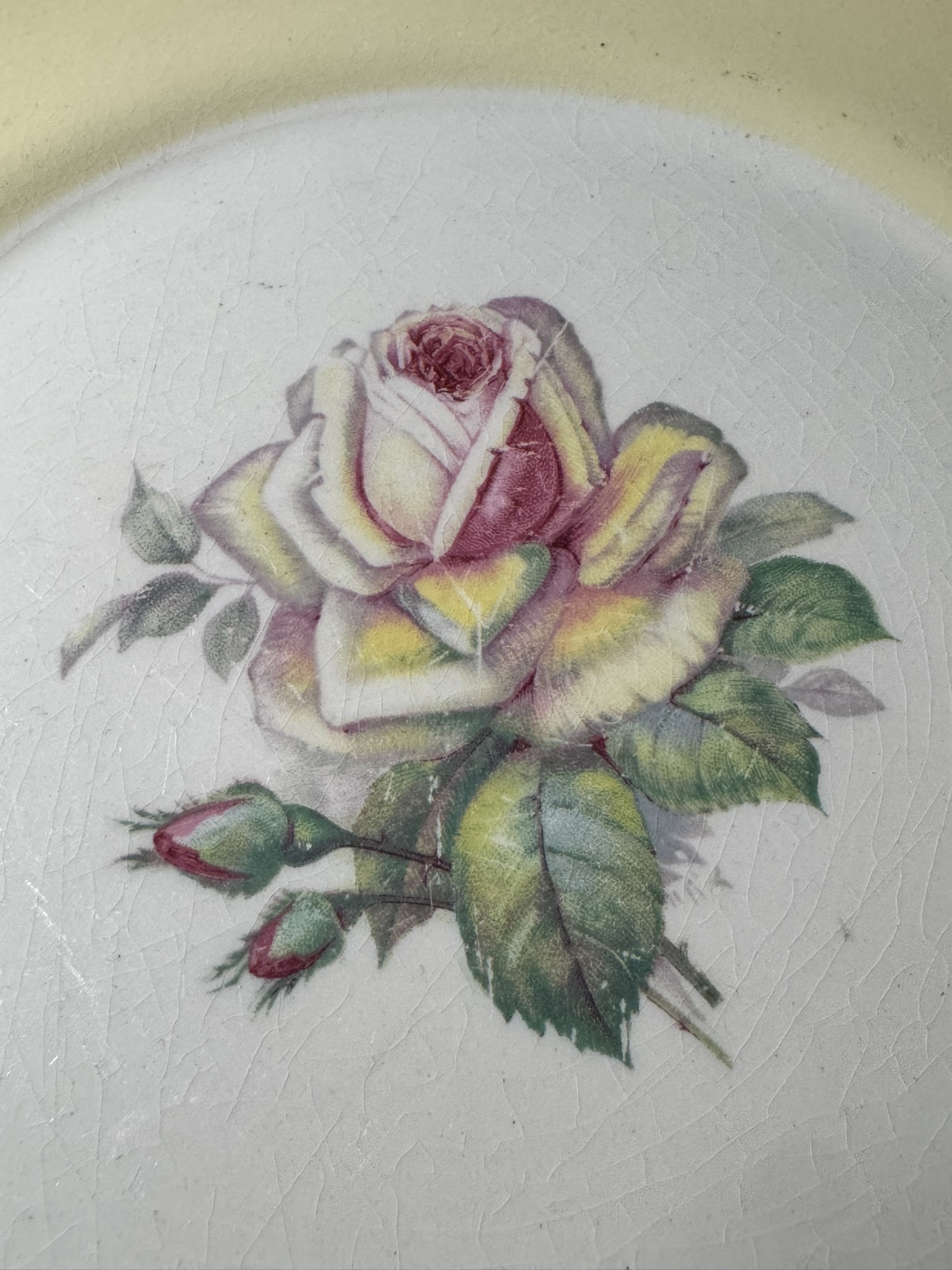 A detailed illustration of a blooming rose with pink and yellow petals, surrounded by green leaves and two rosebuds, is centered on a white, slightly textured surface with visible crackle lines. The background is pale yellow near the edge.