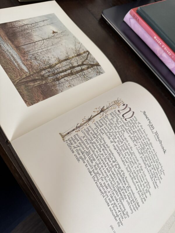 An open book rests on a dark table. The left page features an illustration of trees near a pond with a flying bird. The right page displays ornate text titled American Woodcock, beginning with an illuminated letter W and decorative branch artwork.