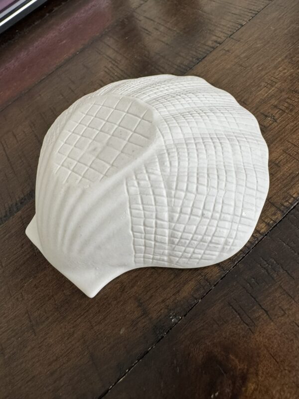 The Woulind Chile Serving Dish, crafted from white ceramic and shaped like a seashell, features a striking mix of textured grid patterns and natural ridges, creating a beautiful contrast as it rests on a wooden surface.