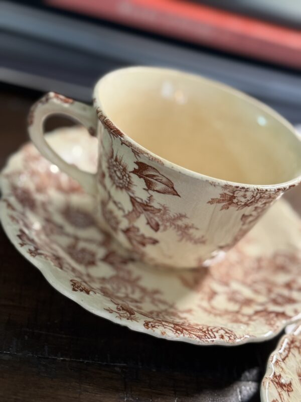 A close-up of a vintage teacup and saucer with brown floral patterns on cream rests on dark wood. Softly blurred in the background are stacked books and the elegant Woulind Chile Serving Dish.