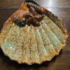 The Seashell Serving Tray is a scallop shell-shaped ceramic dish with textured ridges, glazed in orange, brown, and aqua green, and features raised clam and mussel designs near the hinge, displayed on a dark wooden surface.