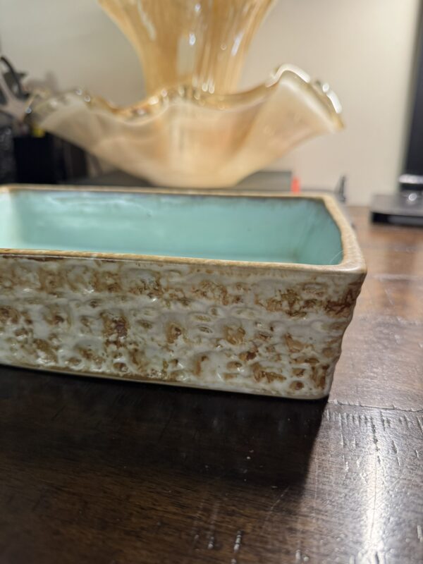 The Terracotta Bonsai Planter, featuring a textured cream and brown exterior with a glossy light blue interior, rests on a dark wooden surface. A large wavy-edged beige glass bowl is visible in the blurred background.