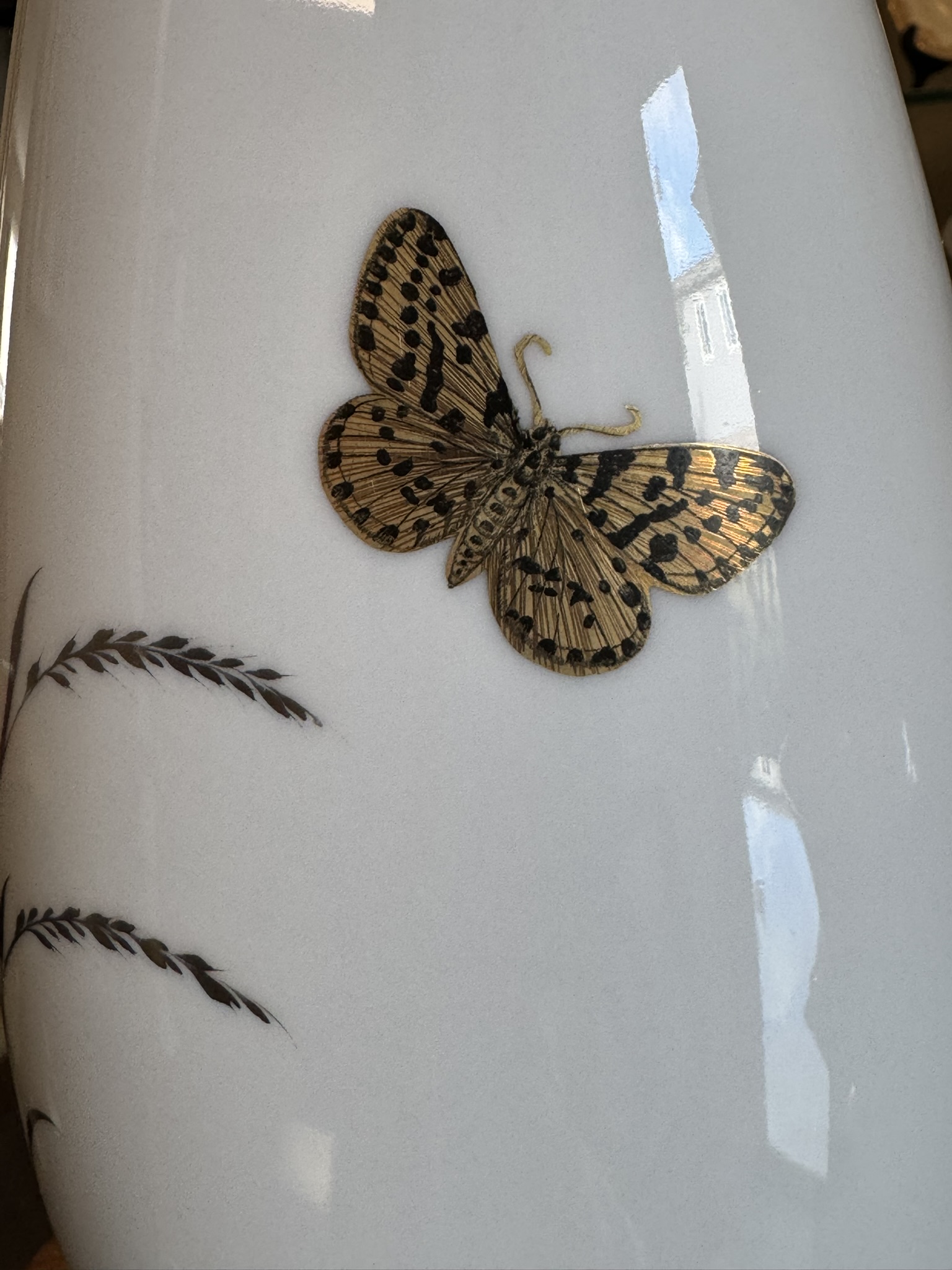 A close-up of a white porcelain vase features a detailed illustration of a brown and black speckled butterfly above a delicate painted grass design. The vase’s glossy surface reflects window and sky shapes.